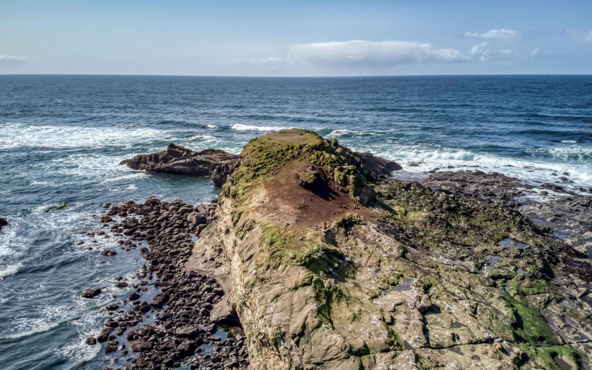 Whale'S Paradise Depoe Bay Luaran gambar